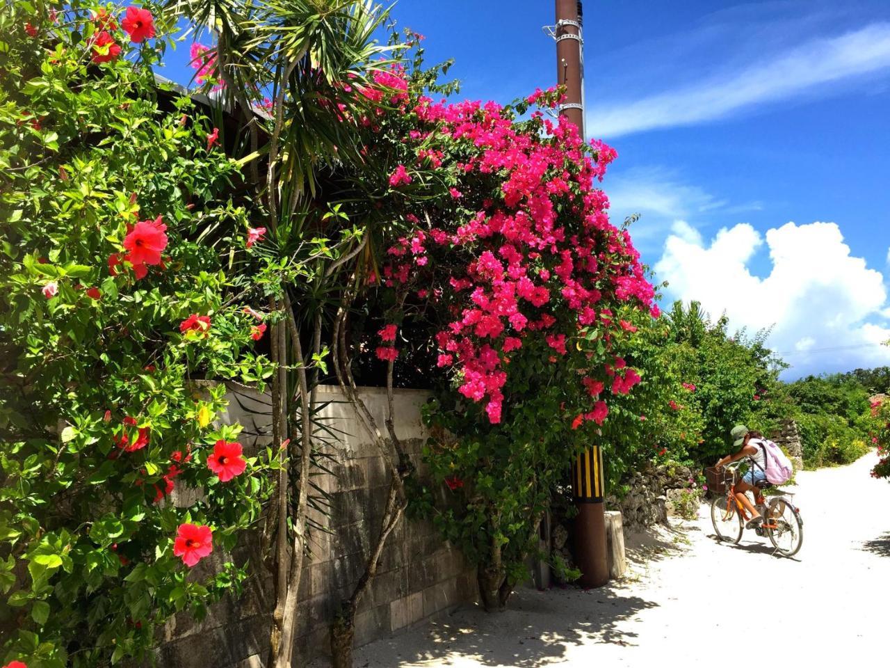 Guesthouse Ho Aloha Ishigaki  Exterior foto